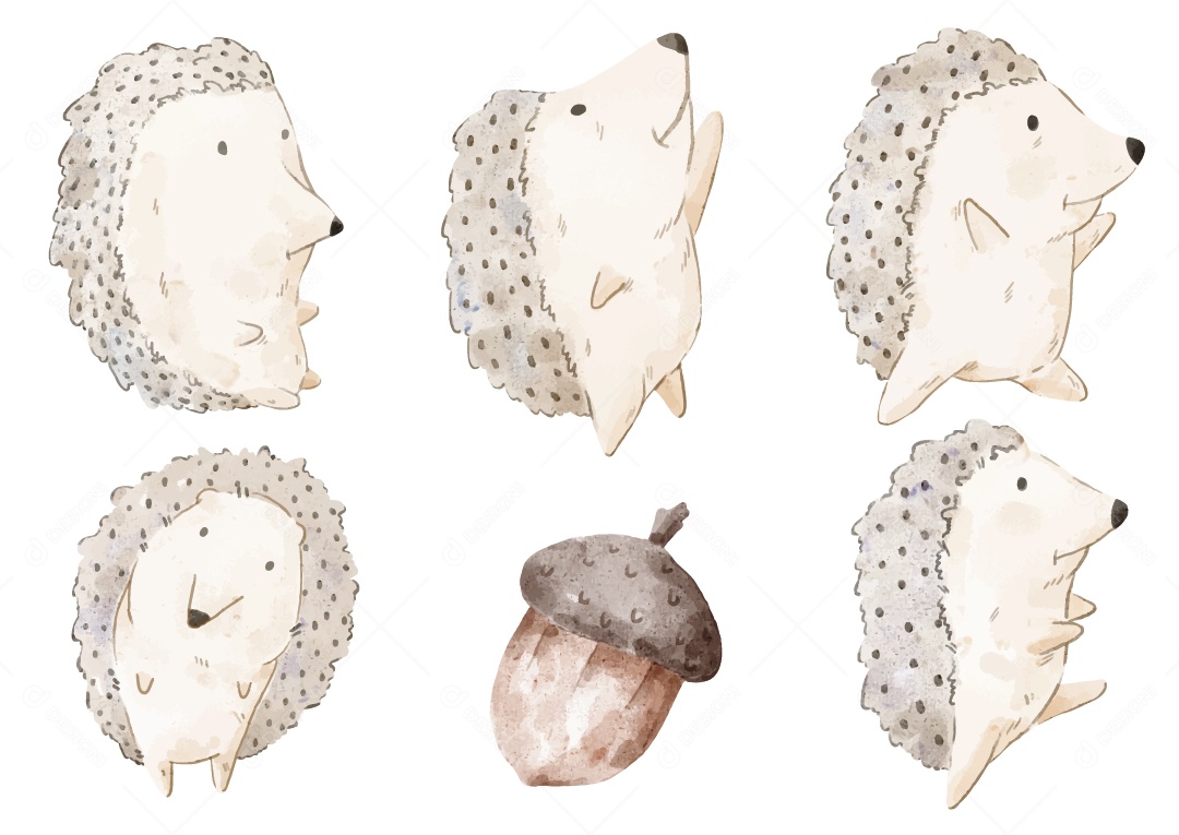 Ouriço em Aquarela Ilustração Vetor EPS