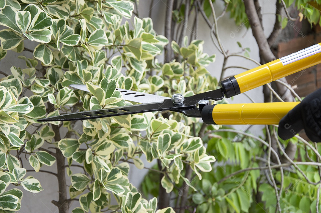 Agricultor usa tesoura de poda tesoura de poda amarela