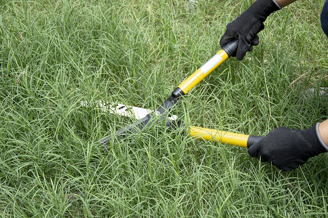 Um fazendeiro usa uma tesoura para cortar a grama do chão