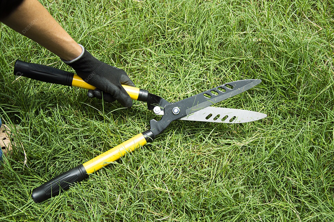 Um fazendeiro usa uma tesoura para cortar a grama do chão