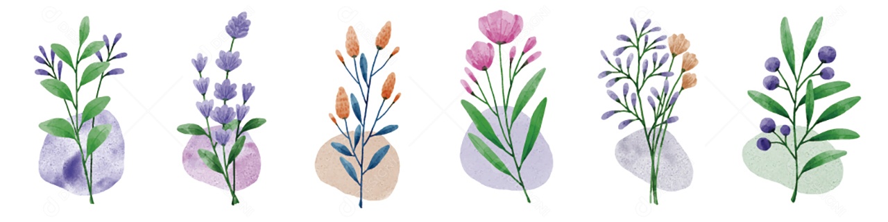 Flores Ilustração Vetor EPS