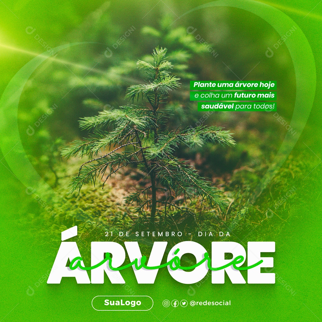 Dia Da Árvore 21 De Setembro Social Media PSD Editável