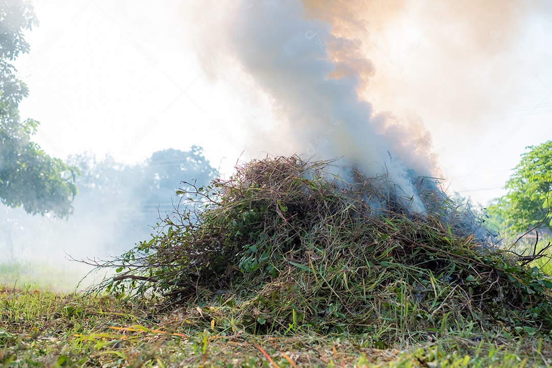 Fumaça da queima de grama e restos de folhas em áreas rurais, problemas de poeira de fumaça