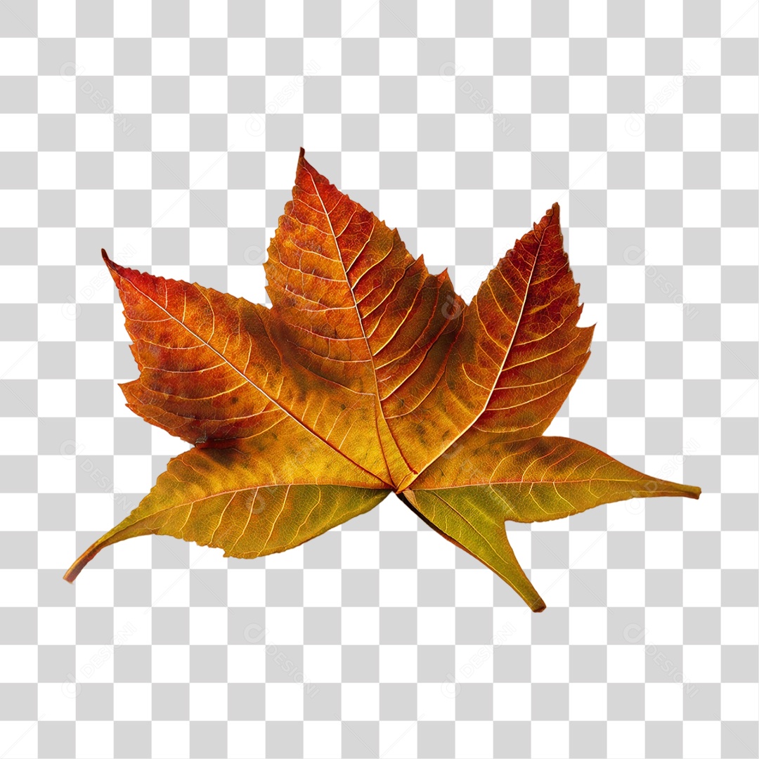 Folha de Outono Alaranjada PNG Transparente
