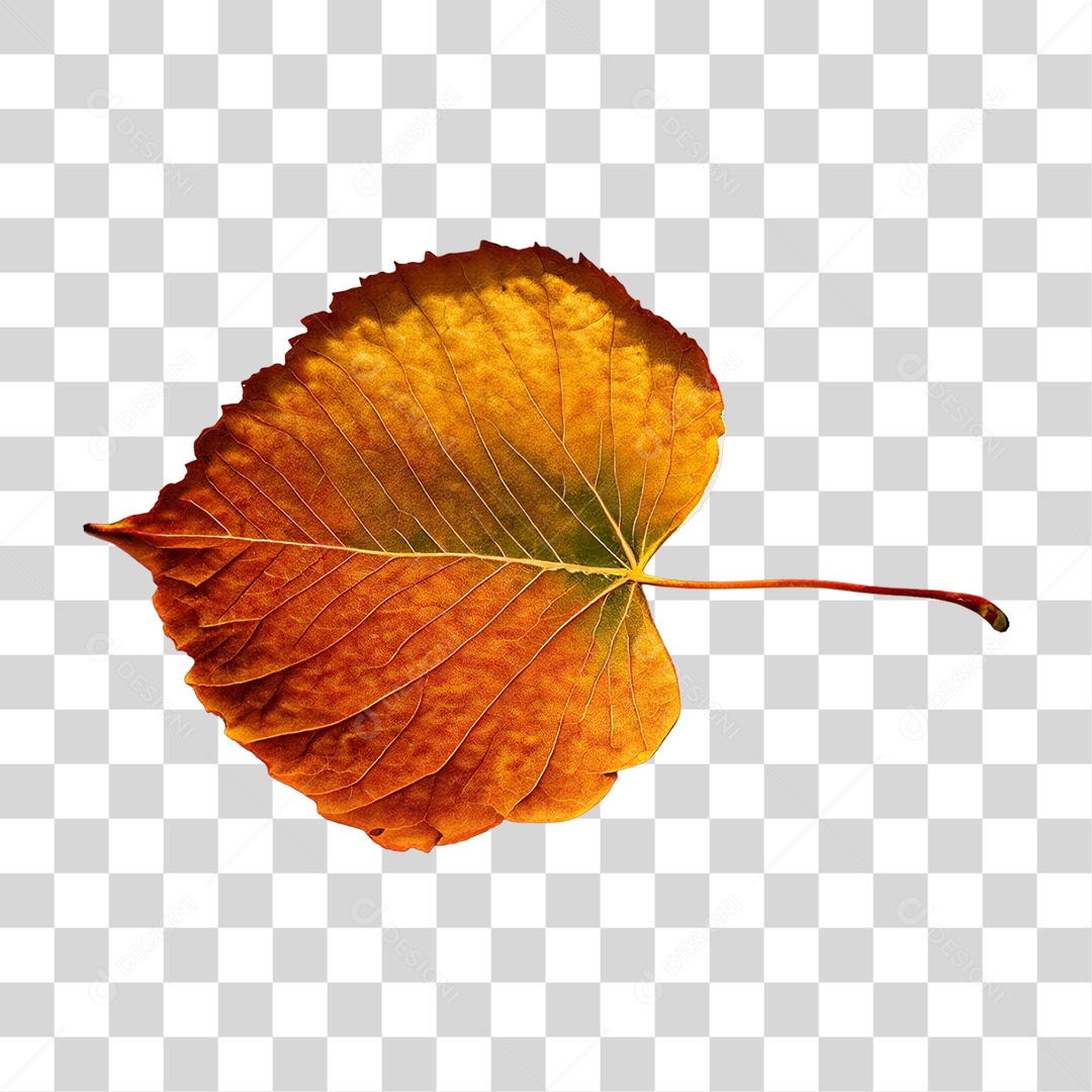 Folha de Outono Alaranjada PNG Transparente
