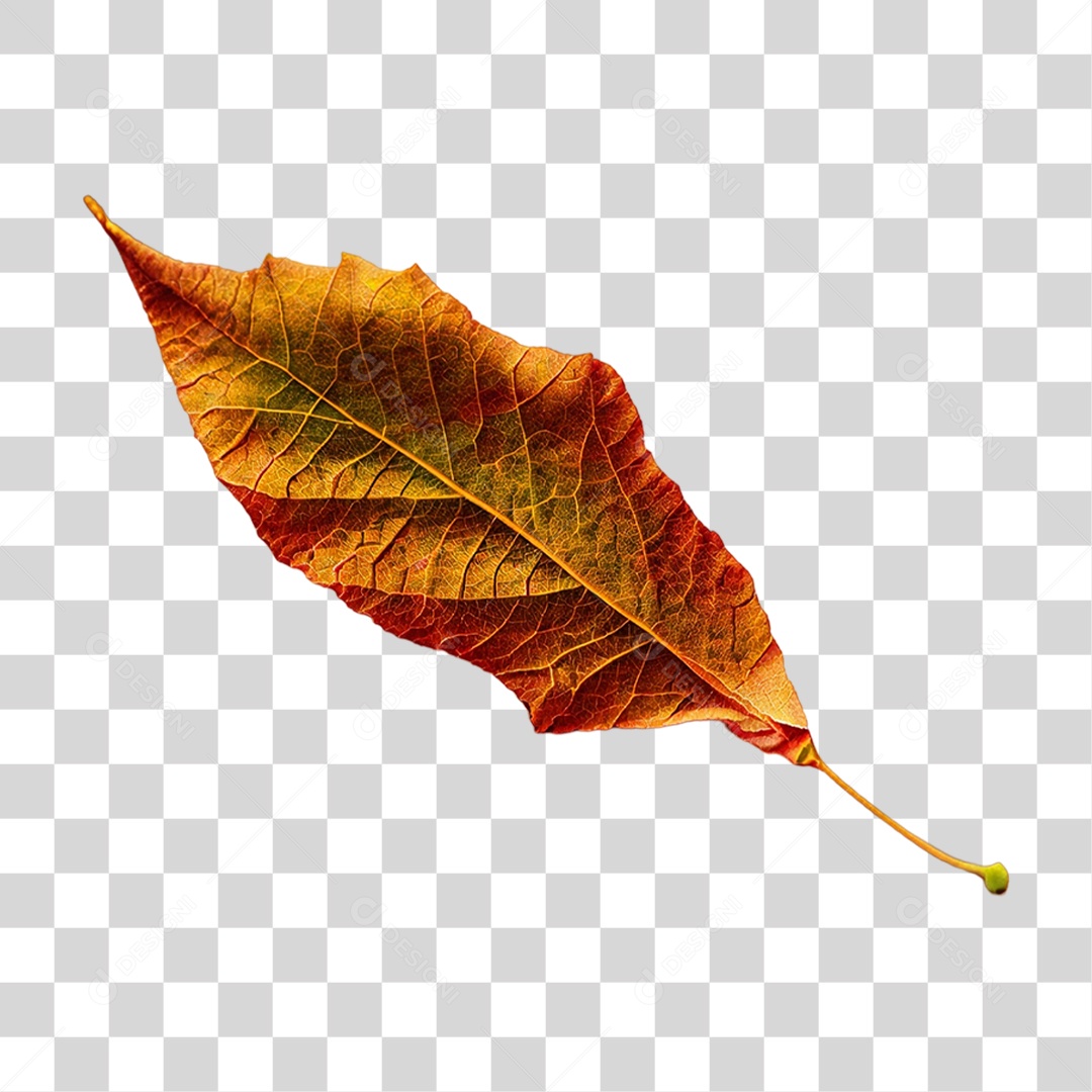 Folha de Outono Alaranjada PNG Transparente