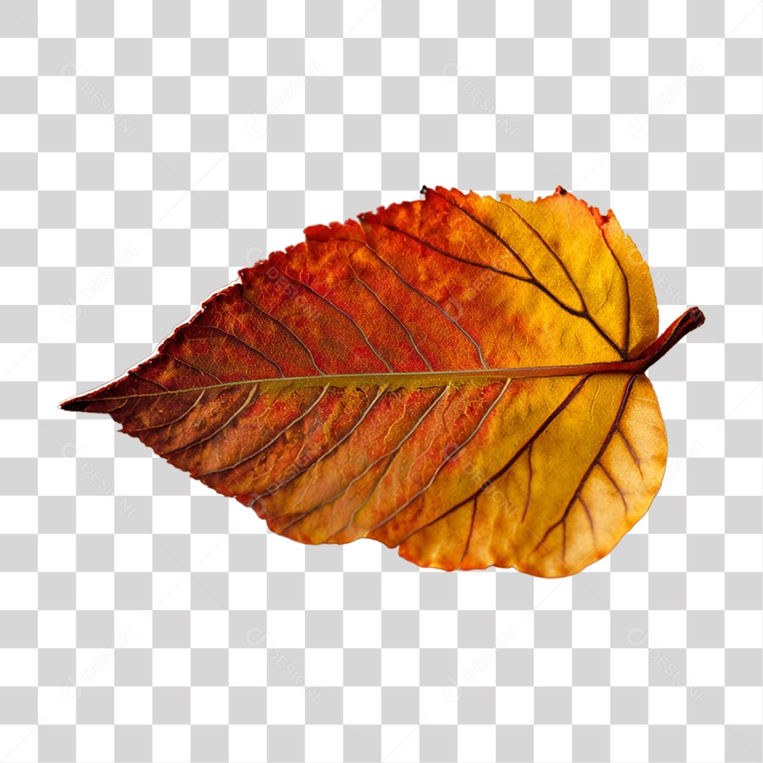 Folha de Outono Alaranjada PNG Transparente