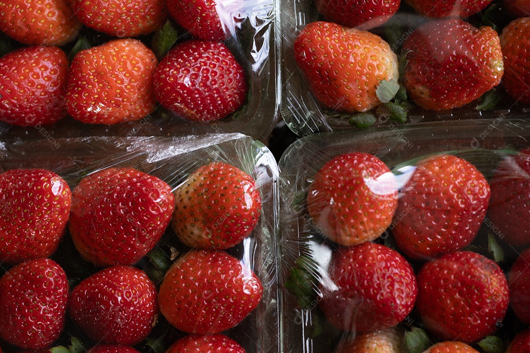 Cartelas de deliciosos morangos