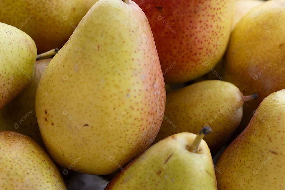 Peras suculentas natural juntas