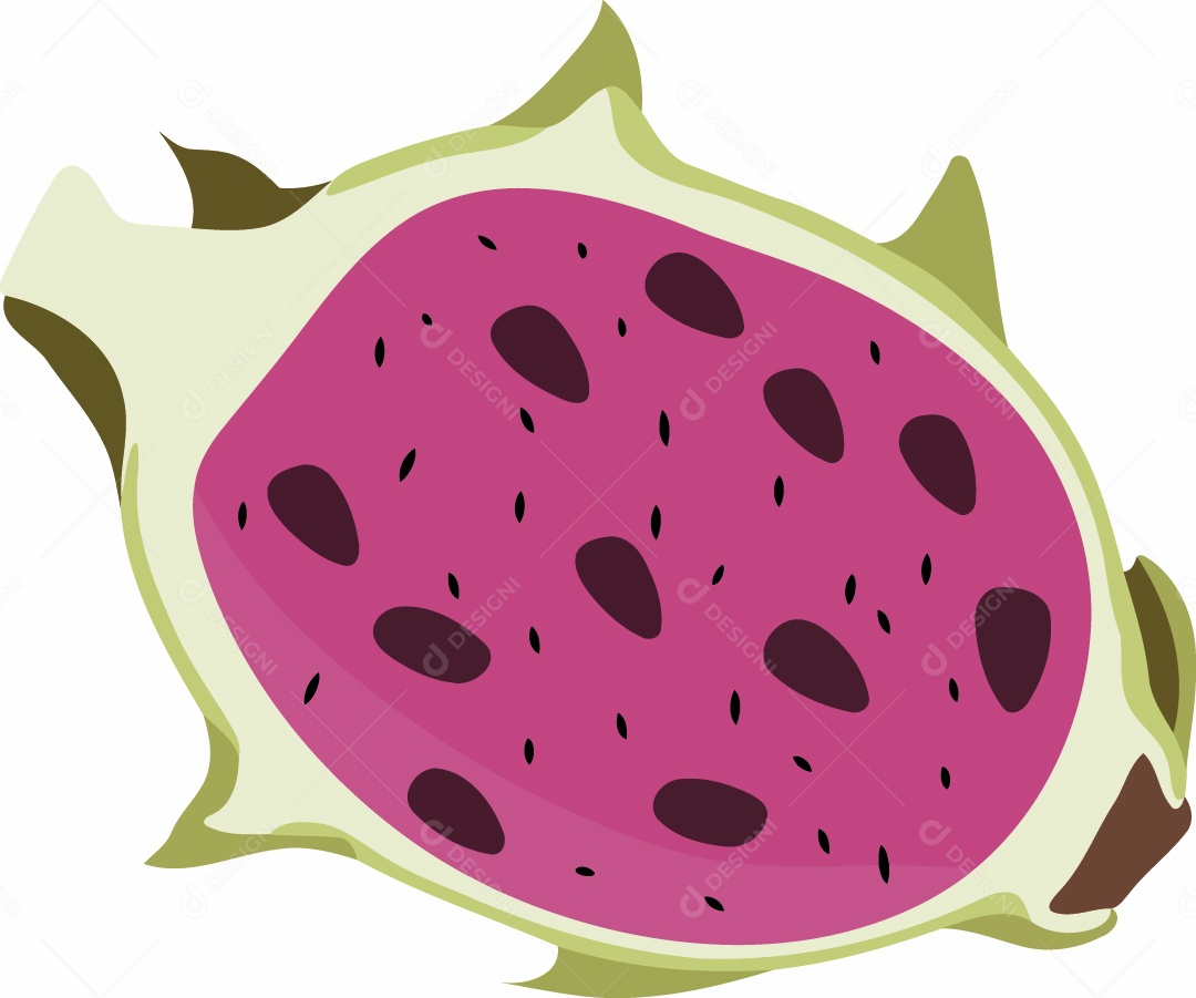 Pitaia Ilustração Vetor EPS