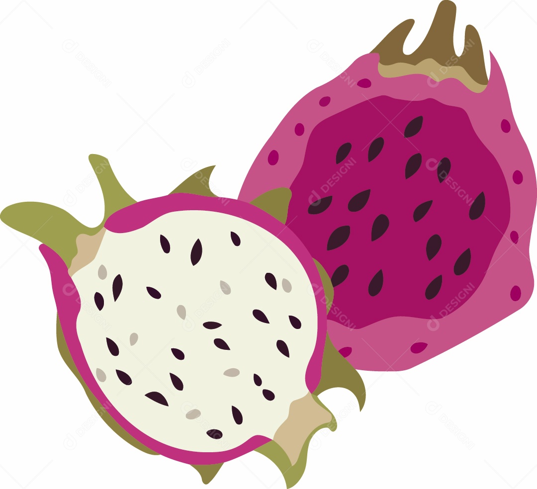 Pitaia Ilustração Vetor EPS