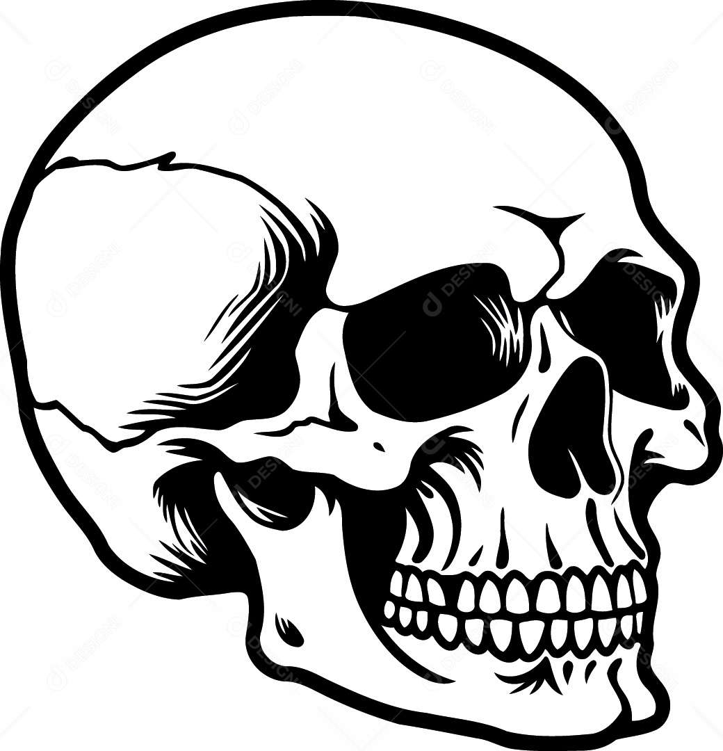 Caveira Desenho Vetor EPS