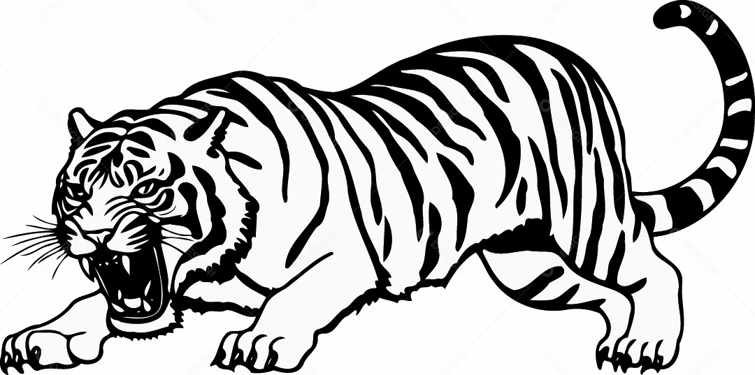 Tigre Desenho Vetor EPS