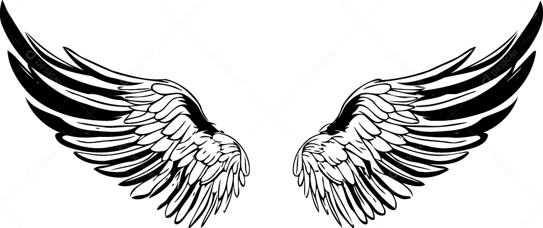 Asas Ilustração Vetor EPS