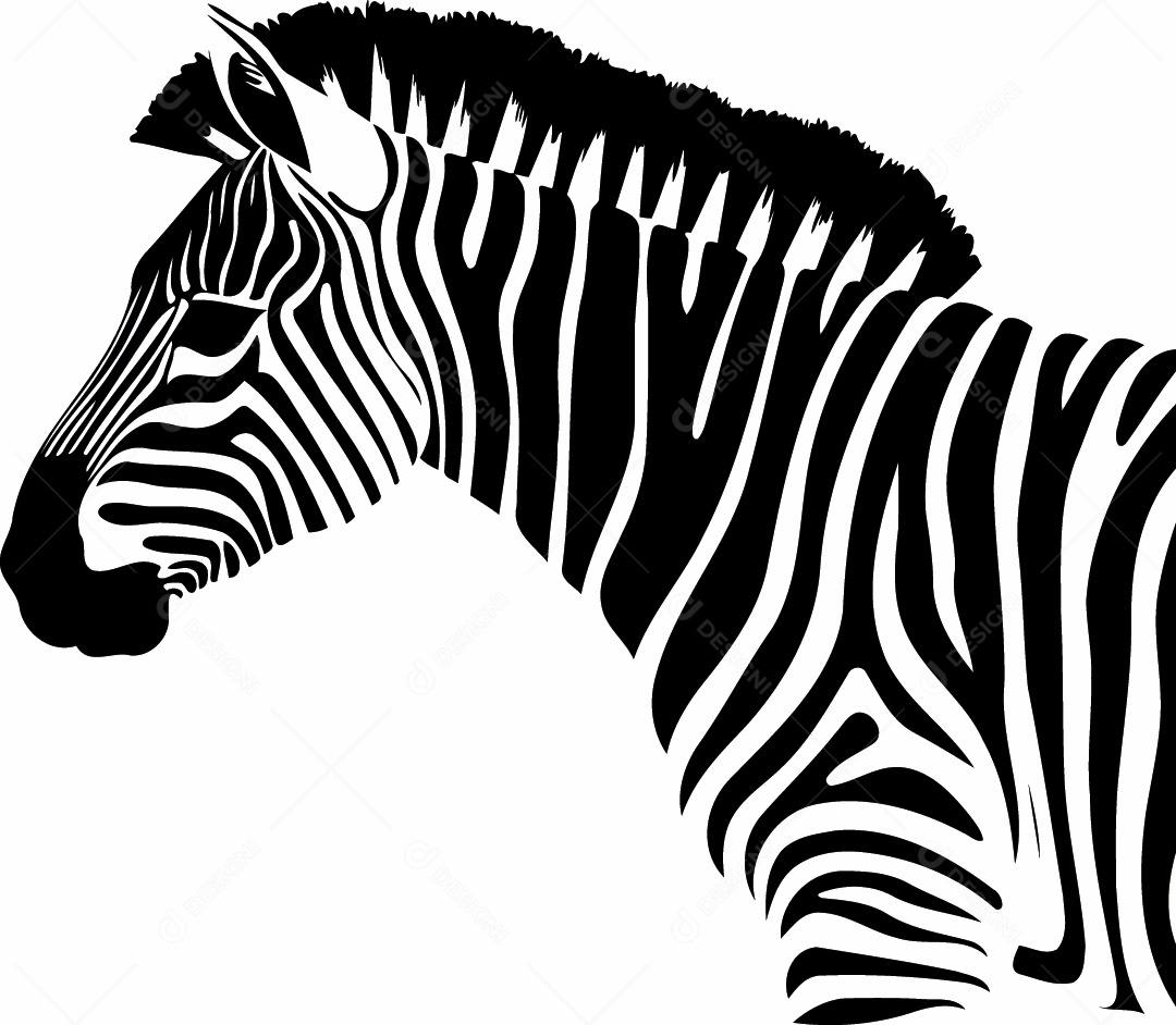 Zebra Ilustração Vetor EPS