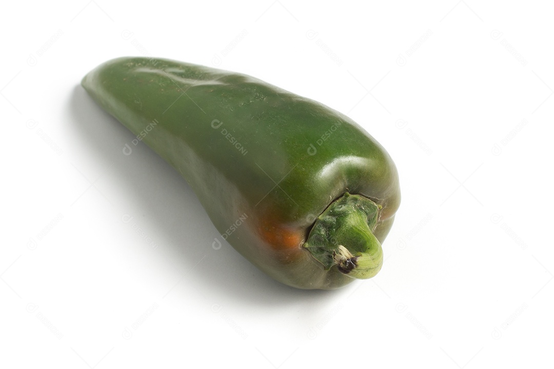 Pimentão Verde Orgânico