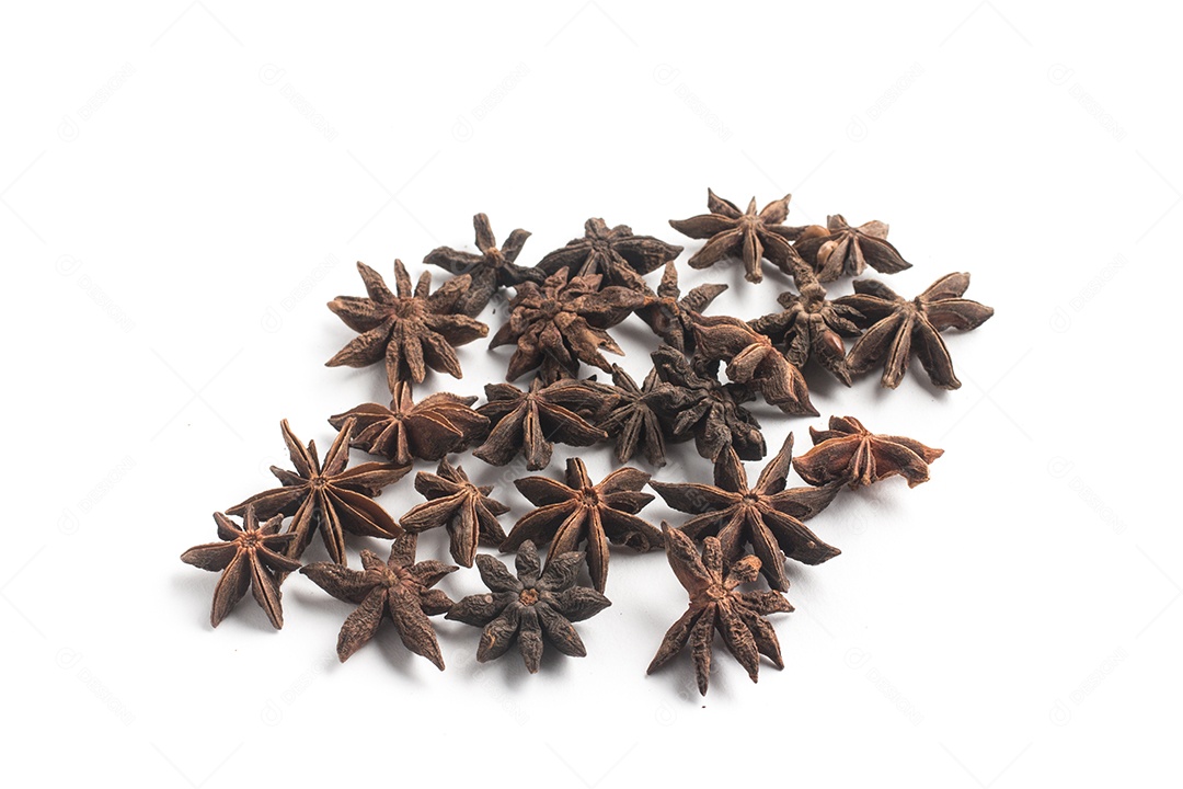 Anis Star Spice isolado em fundo branco
