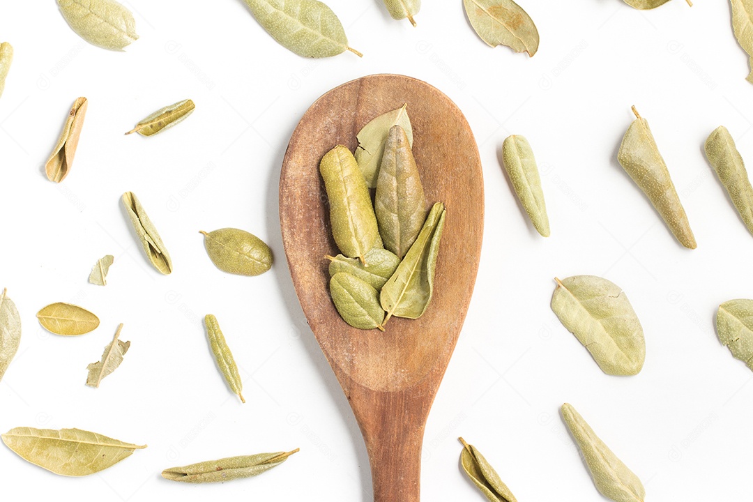 Folhas de Boldo brasileiro em uma colher isoladas em fundo branco