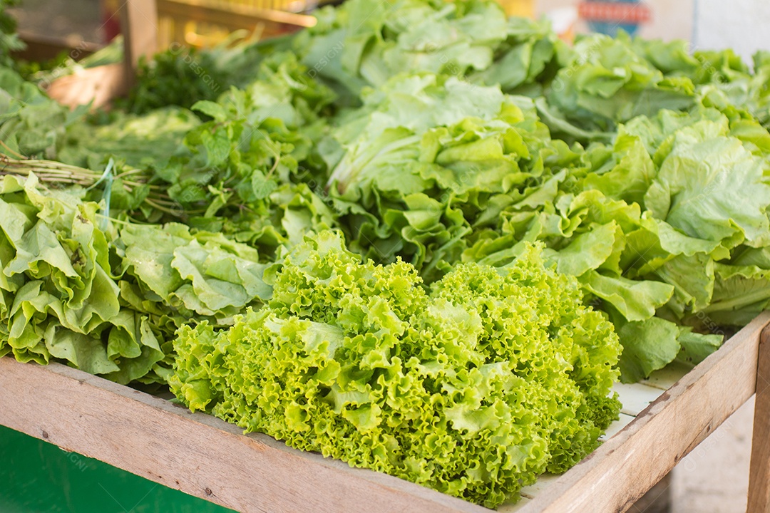 Alface Orgânica em uma feira livre no Rio de Janeiro, Brasil