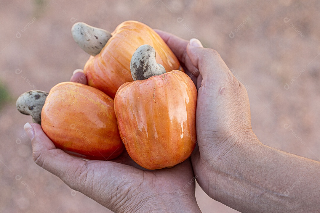 Deliciosa fruta saudável caju