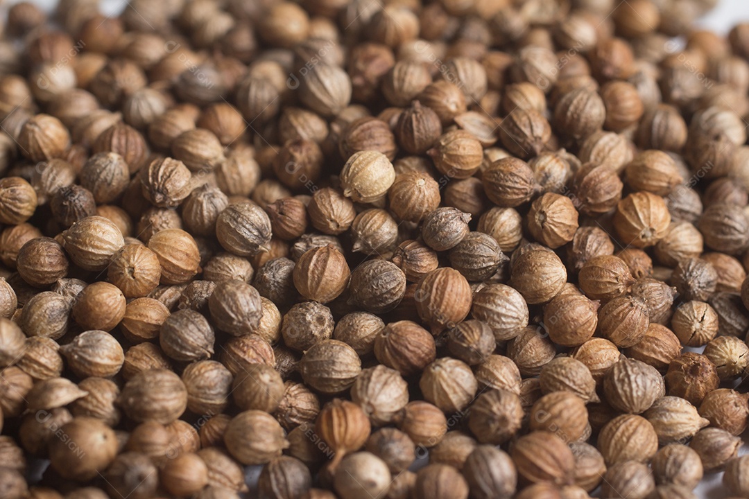 Close-up de sementes de coentro em fundo branco