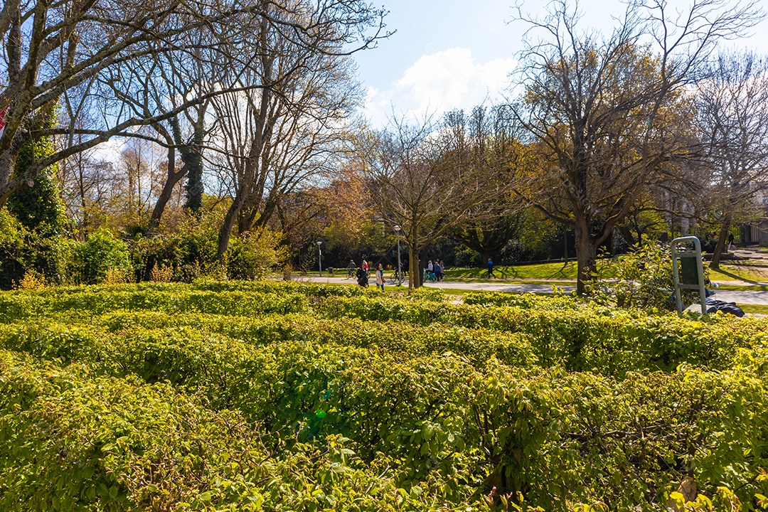Vondelpark em Amsterdã em um lindo dia azul.