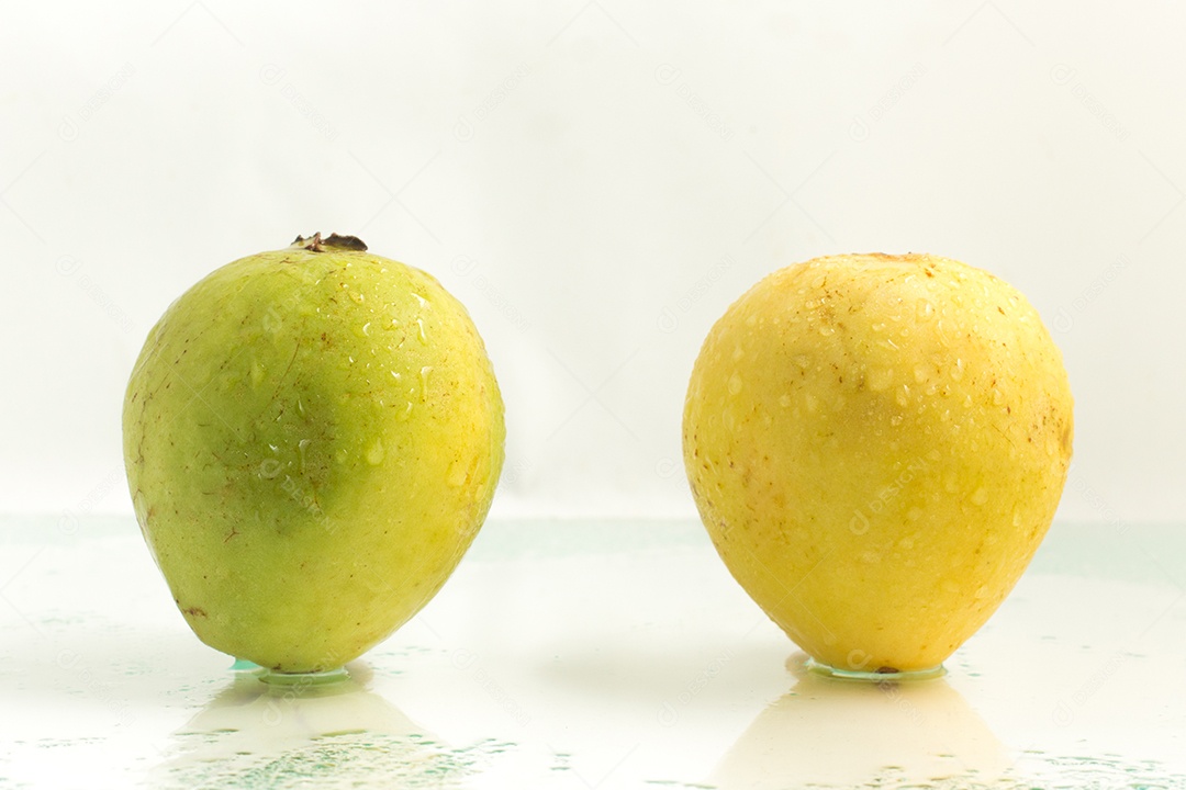 Goiaba fresca sobre uma superfície de vidro molhada