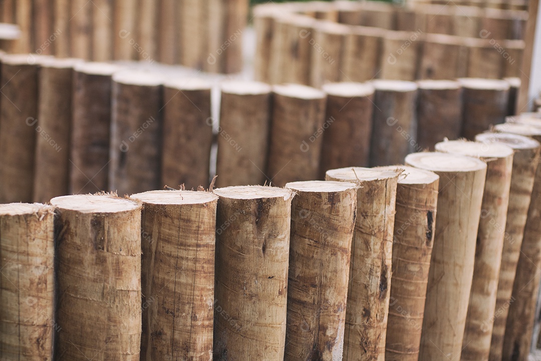 Várias cercas de madeira para jardim
