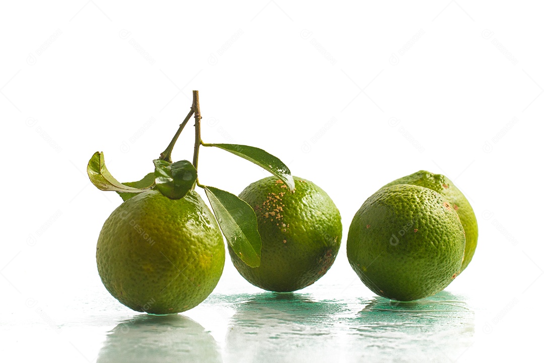 Limao-cravo. Limão-cravo brasileiro sobre um fundo branco