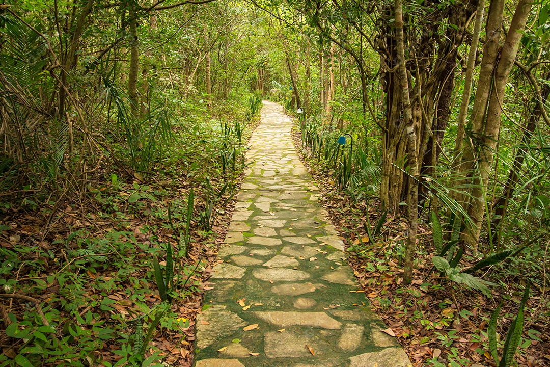 Caminho de pedra. Jardim do Éden, chapada dos veadeiros