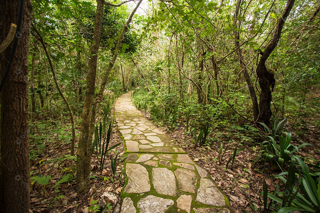 Caminho de pedra. Jardim do Éden, chapada dos veadeiros