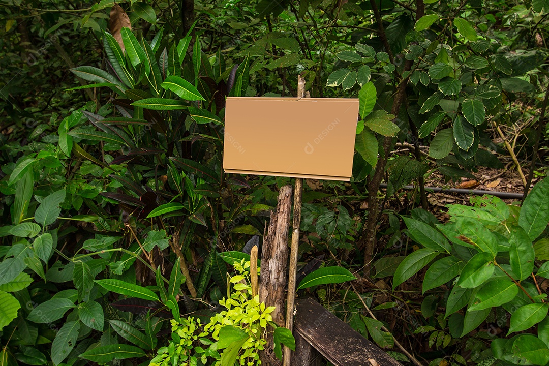 Placa de madeira rústica em uma floresta escura