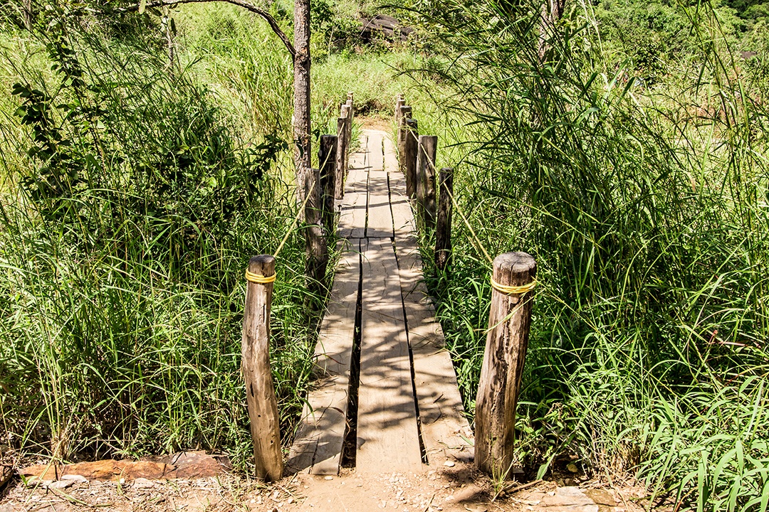 Ponte de madeira rústica em Goiás, Brasil