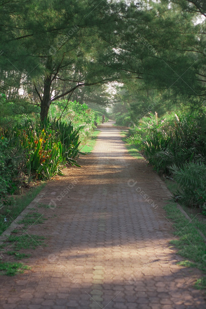 Ciclovia arborizada no Rio de Janeiro, Brasil