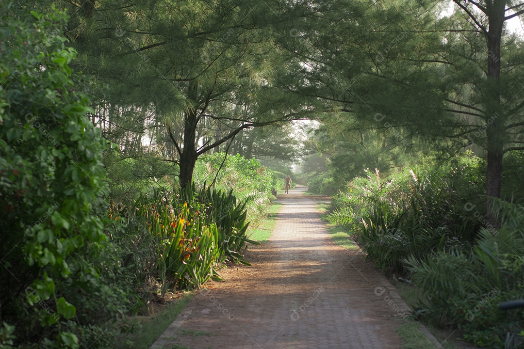 Ciclovia arborizada no Rio de Janeiro, Brasil