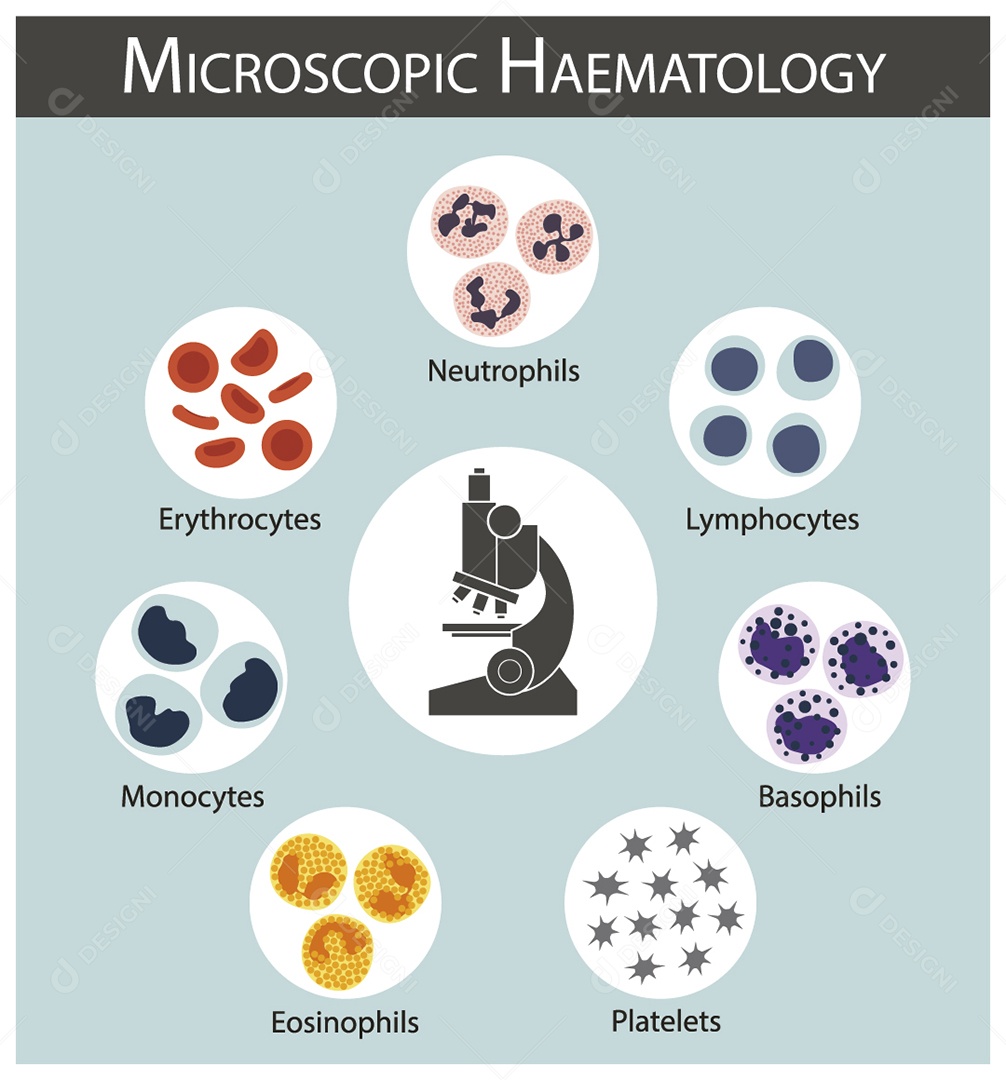 Hematologia Microscópica Ilustração Vetor EPS
