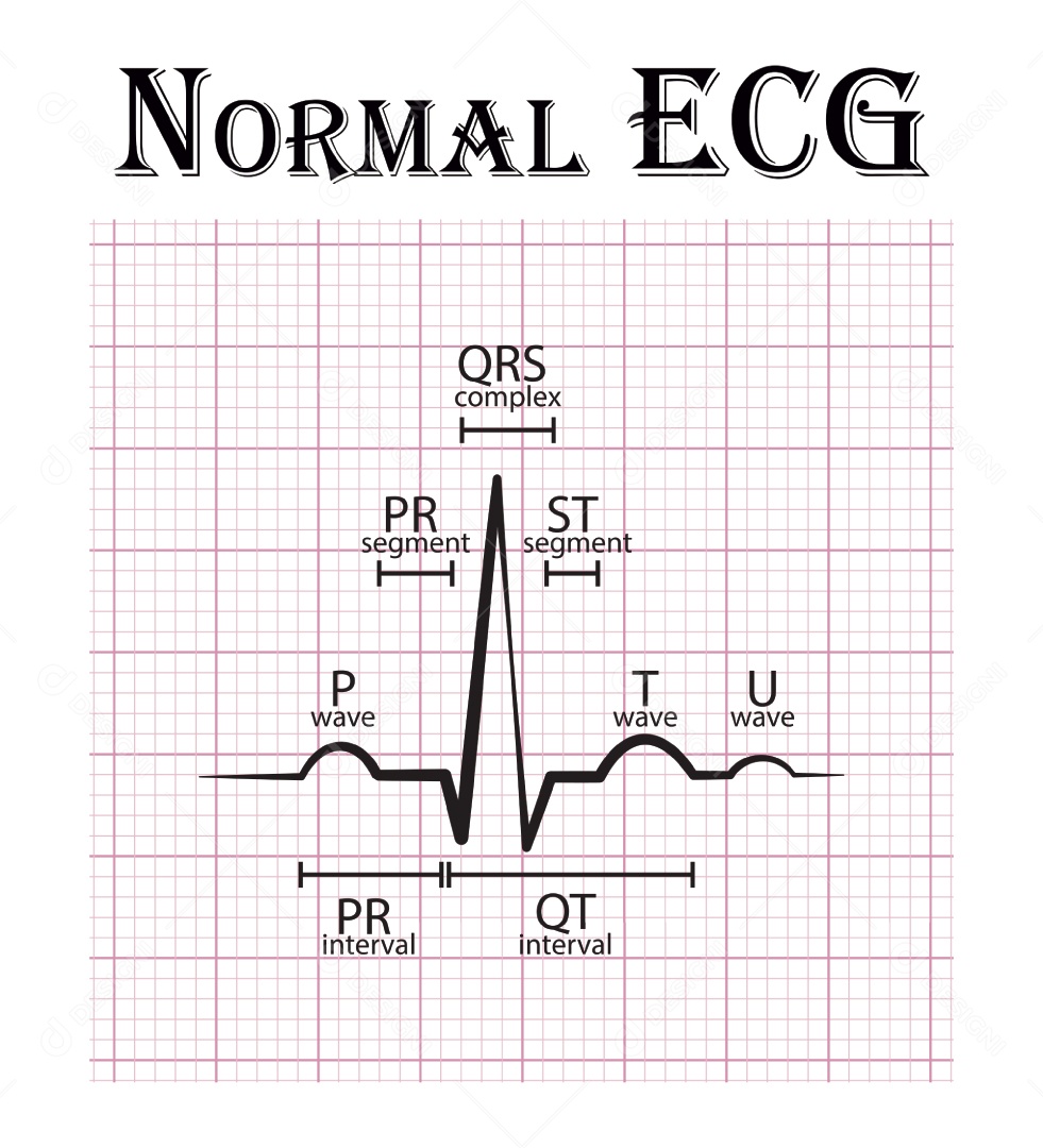 Gráfico de Eletrocardiograma Ilustração Vetor EPS