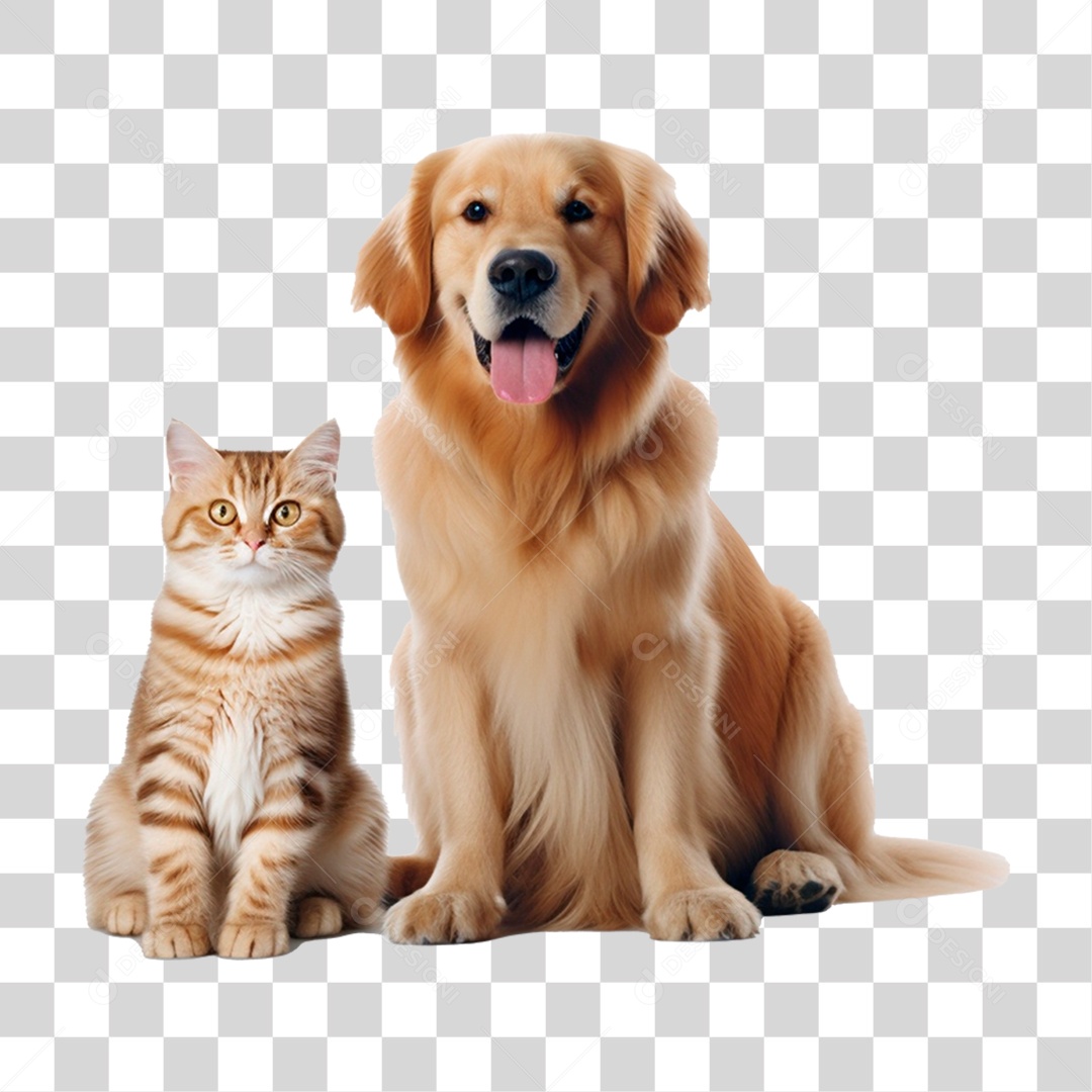 Cachorro e Gato Pet Animal de Estimação PNG Transparente