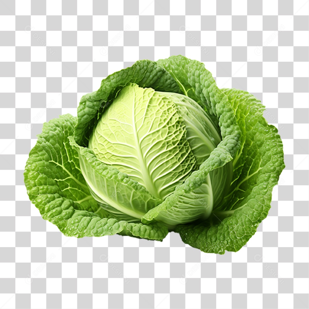 Repolho Folhas Verdes PNG Transparente