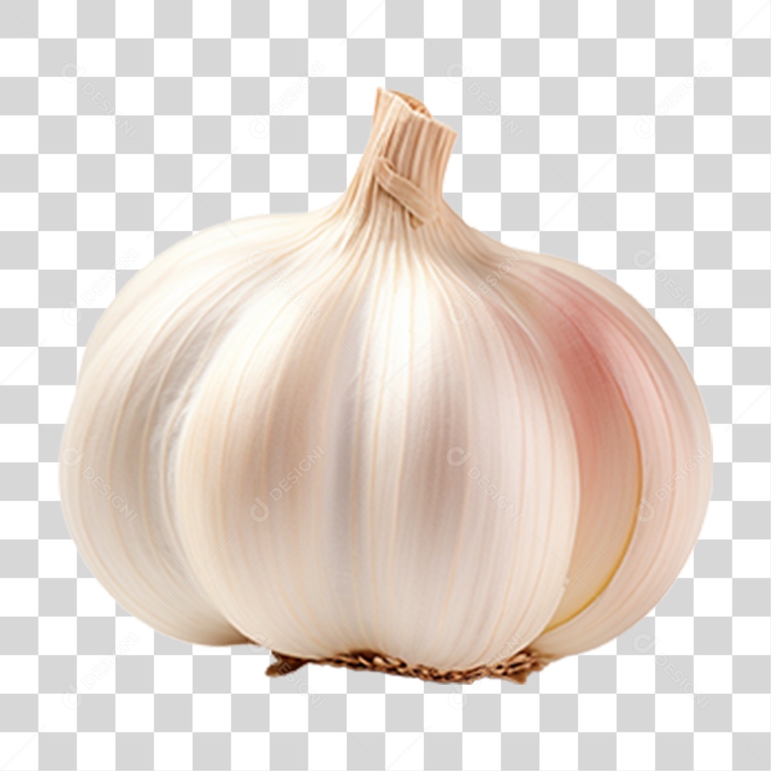 Cabeça de Alho Tempero PNG Transparente