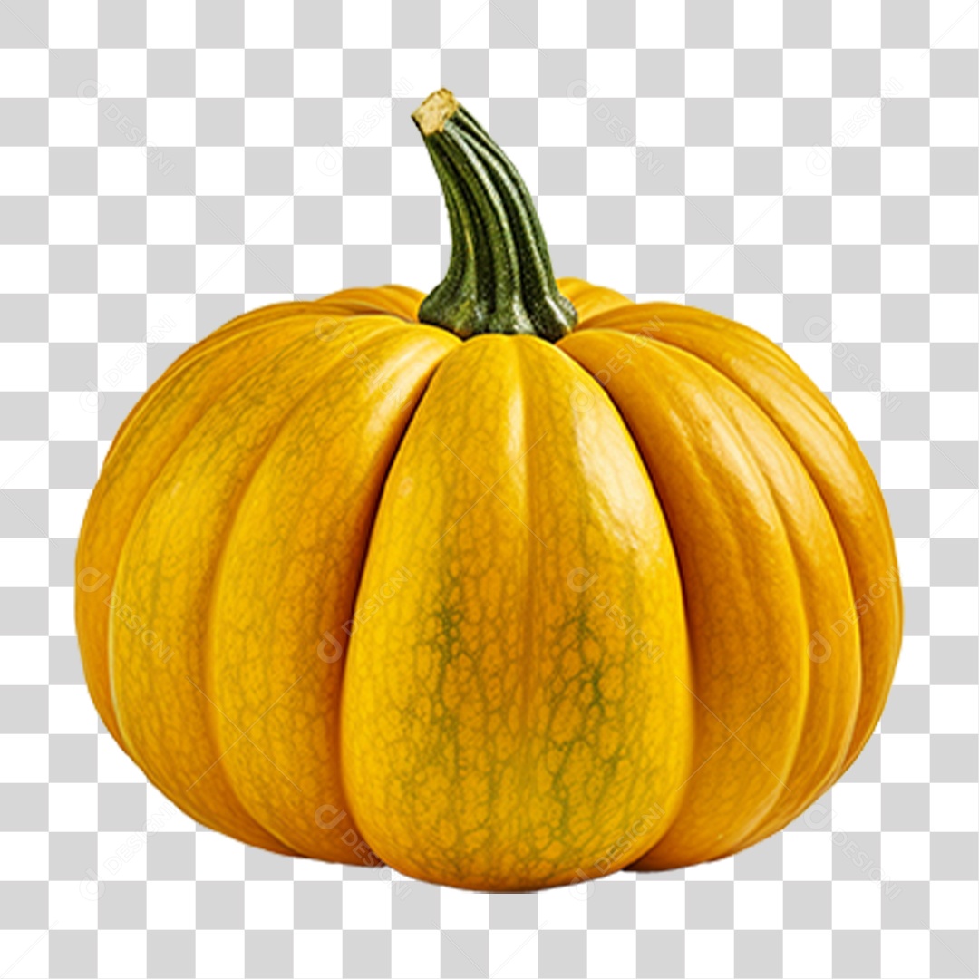Fruta Abóbora PNG Transparente