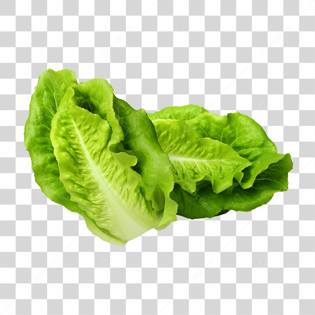 Verduras Legumes e Frutas Alface PNG Transparente