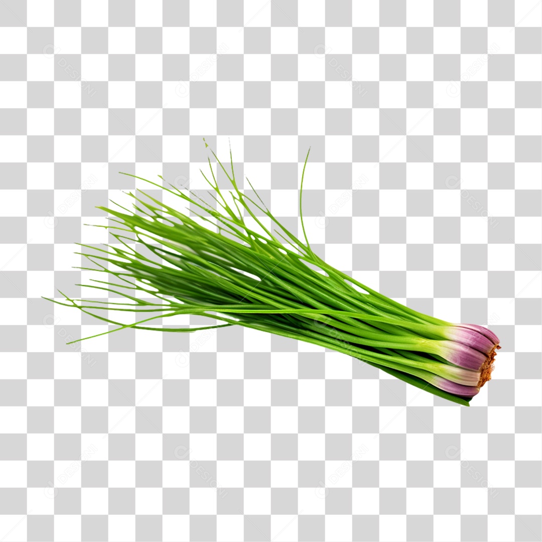 Verduras Legumes e Frutas Cebolas PNG Transparente