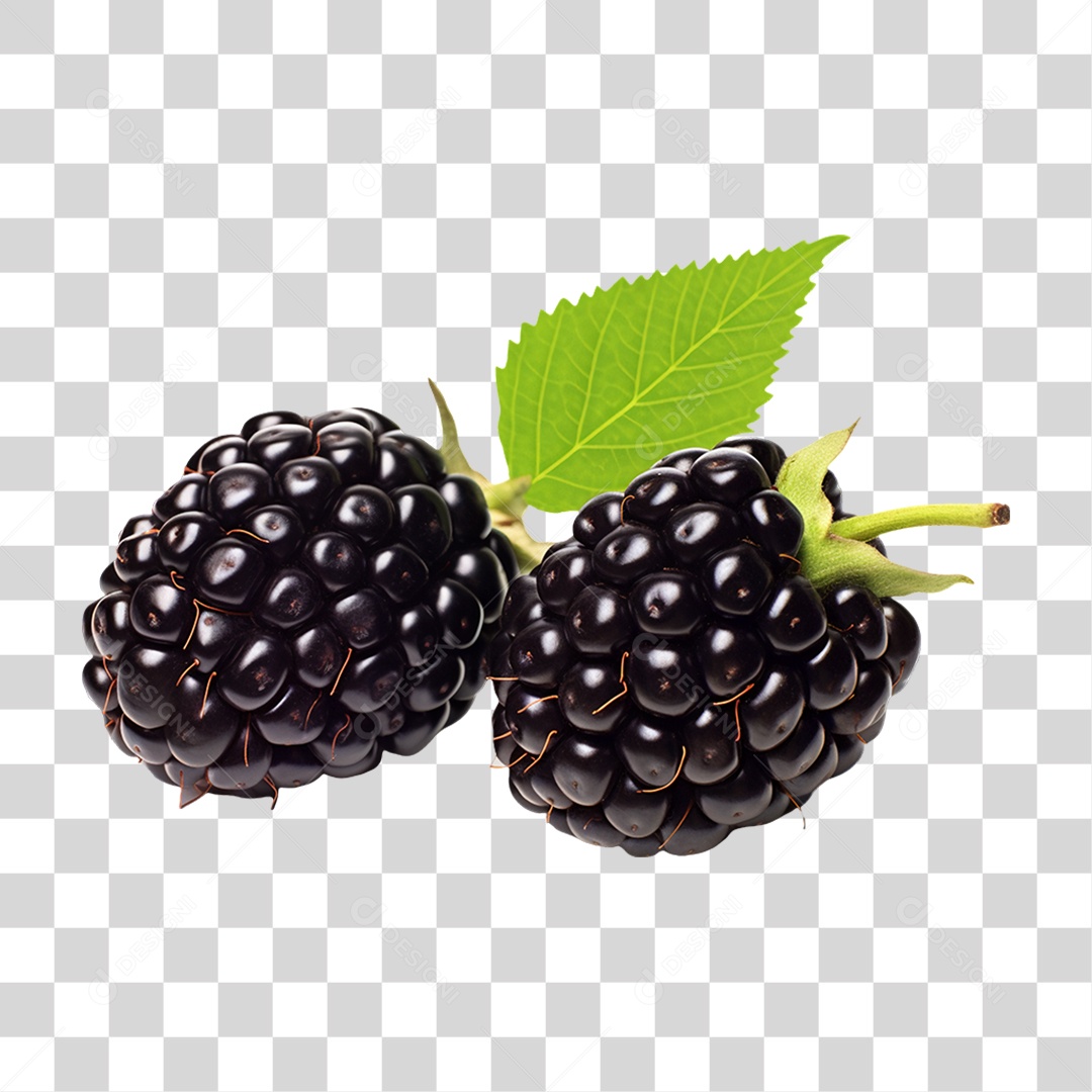 Verduras Legumes e Frutas Amora PNG Transparente