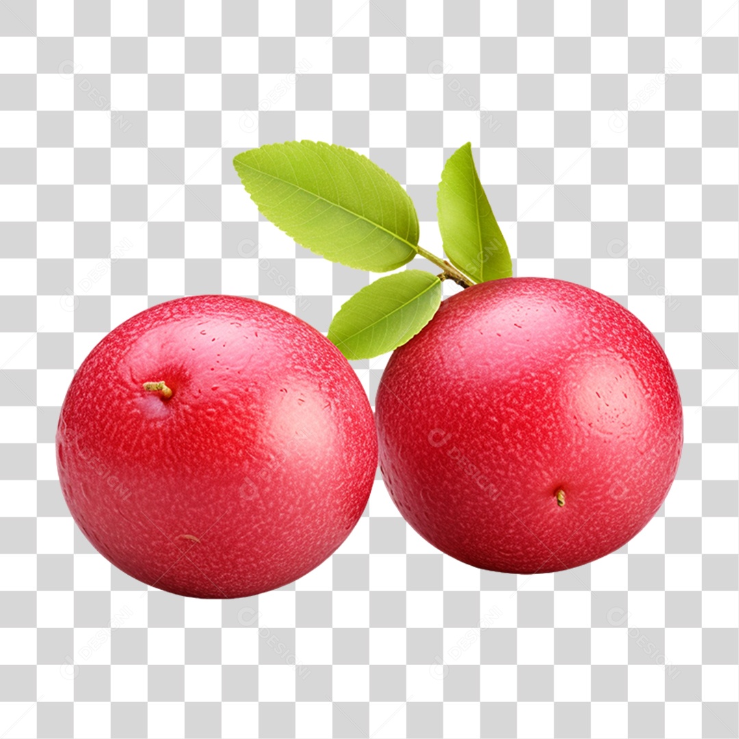 Verduras Legumes e Frutas PNG Transparente