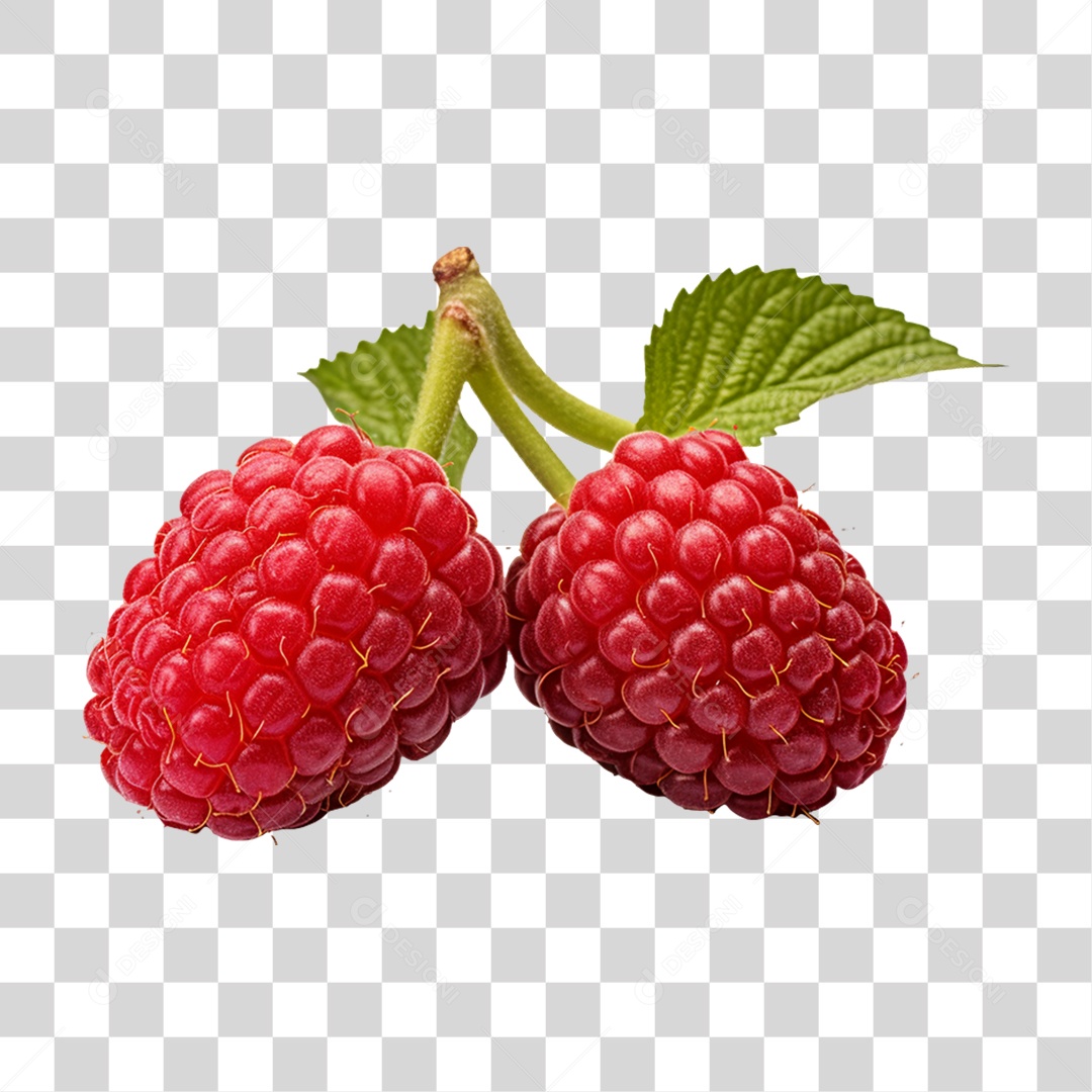 Verduras Legumes e Frutas Amoras PNG Transparente