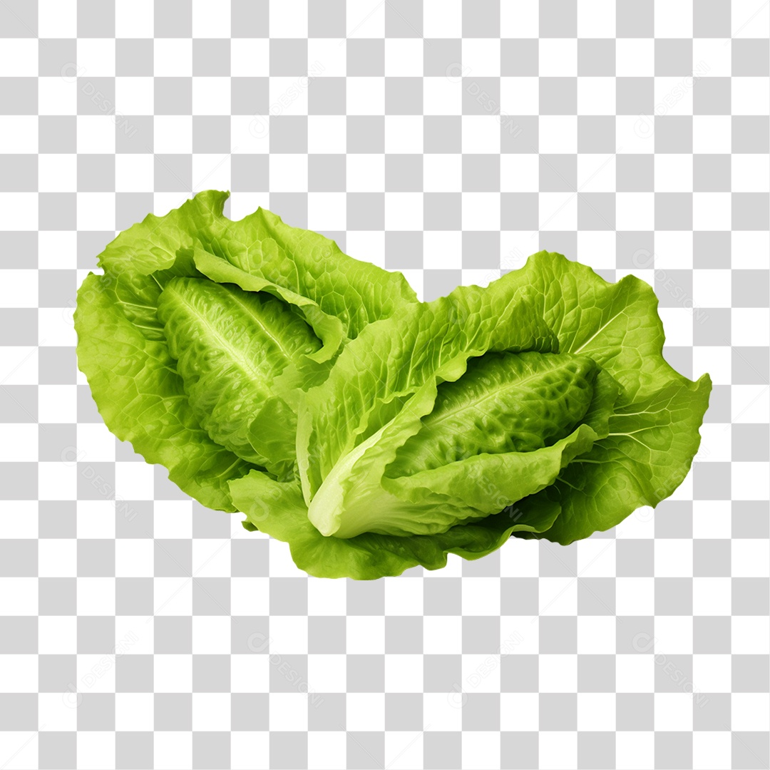 Verduras Legumes e Frutas Alface PNG Transparente
