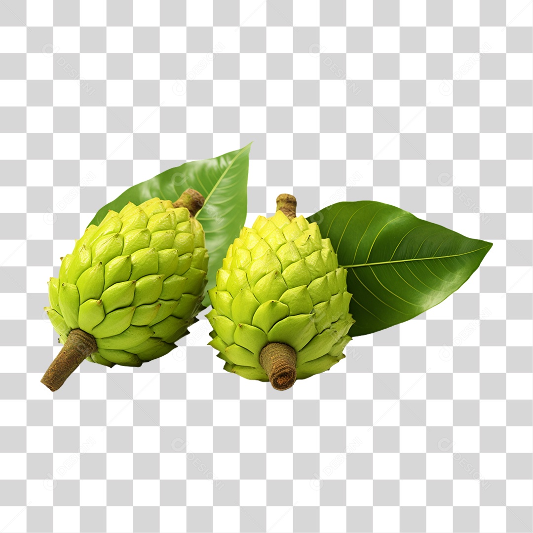 Verduras Legumes e Frutas Pinha PNG Transparente