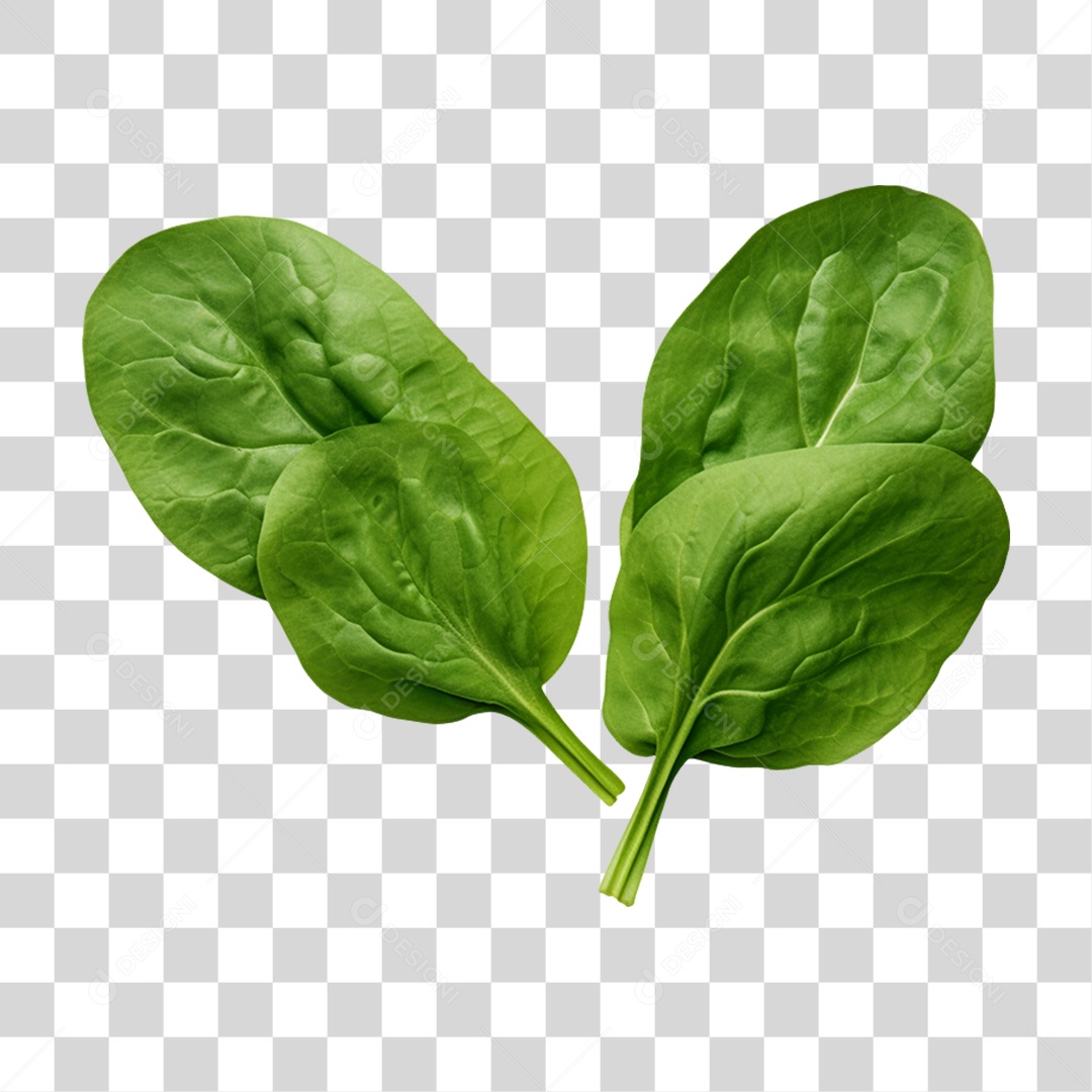 Verduras Legumes e Frutas Espinafre PNG Transparente