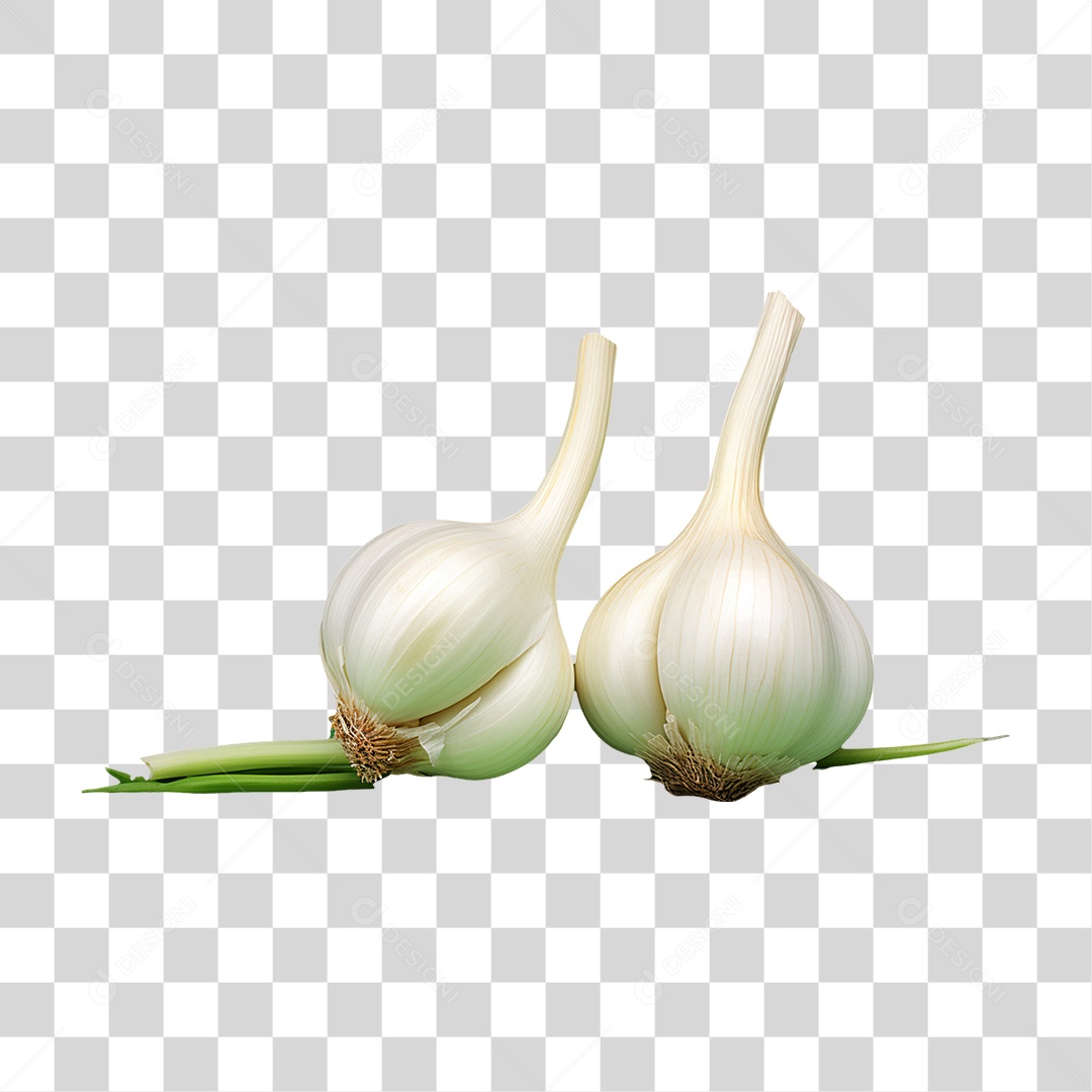 Verduras Legumes e Frutas Alho PNG Transparente